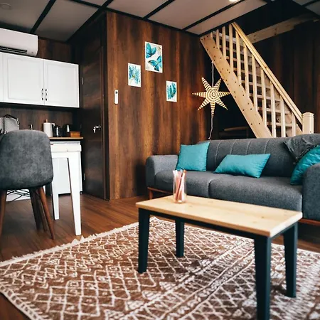 אכסניה Sapanca Kiyi Bungalov&cafe *