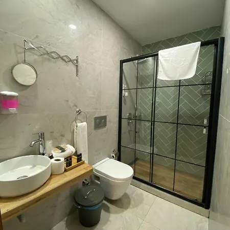 Sapanca Kiyi Bungalov&cafe Lodge *